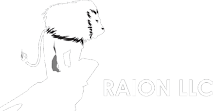 RAION LLC